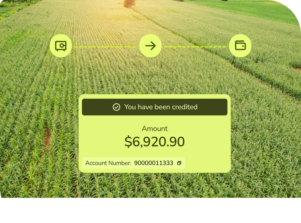 wallet service and solutions for businesses and fintech